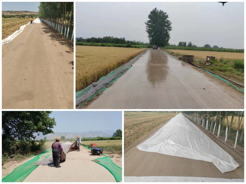 �����̻�������������̬�̻�����·